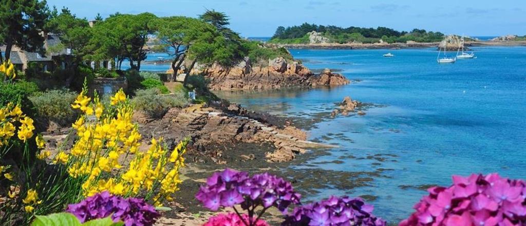 Hotel Manoir De Kertalg Moëlan-sur-Mer Zewnętrze zdjęcie